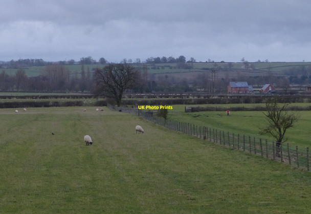 Photo 6"x4" Sheep pasture along Gumley Road Gumley c2013