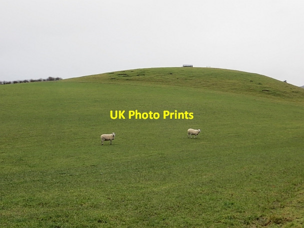 Photo 6"x4" Teviotdale pasture Cauldmill c2013