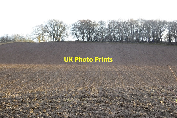 Photo 6"x4" Ploughed field under Thornielaw Wood Elliston\/NT5628 c2013