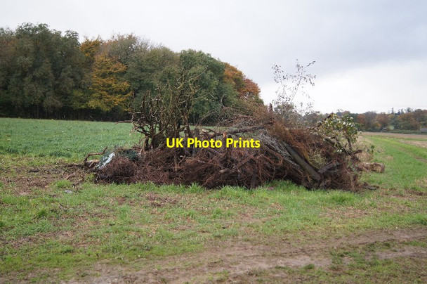 Photo 6"x4" Ready for collection Pardown c2013