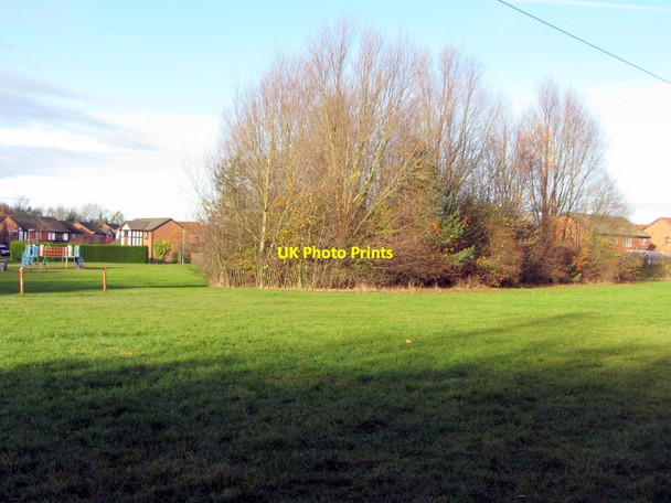 Photo 6"x4" Parkland west of North Walbottle Waggonway Ryton\/NZ1564 c2013