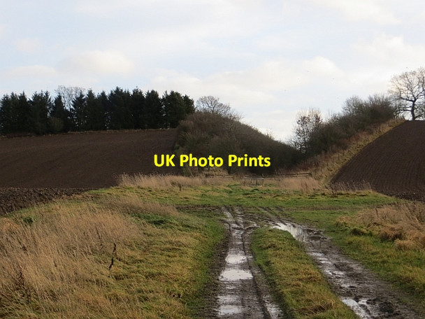 Photo 6"x4" Cutting, Waverley Line Charlesfield\/NT5829 c2013