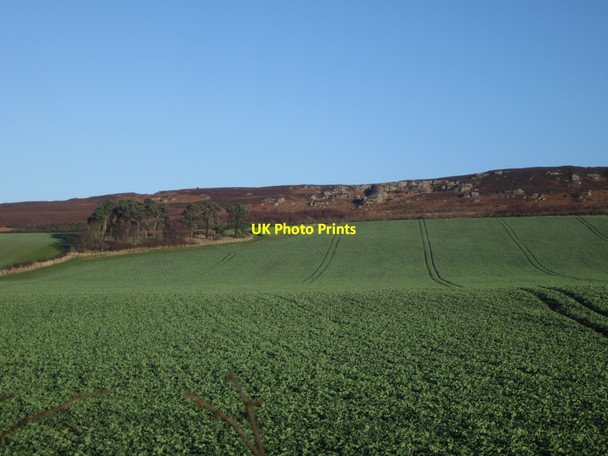 Photo 6"x4" Arable field north of Holburn Grange Holburn c2013