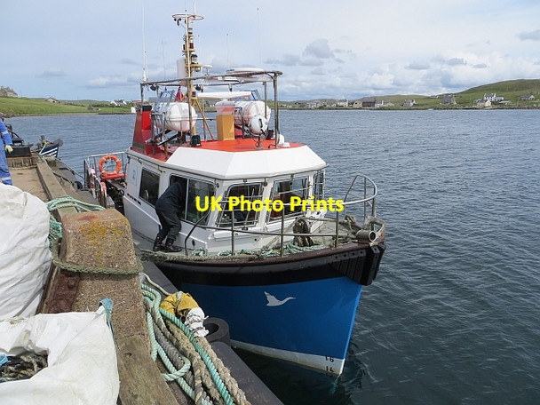 Photo 6"x4" New Advance, Walls Kirkidale c2013
