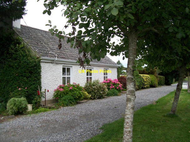 Photo 6"x4" Towpath cottage on the north side of the Grand Canal Belmont\/N0722 c2013