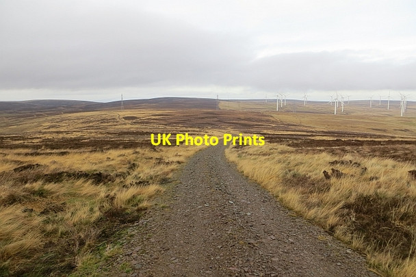 Photo 6"x4" Road on Spartleton Whiteadder Water\/NT6465 c2014