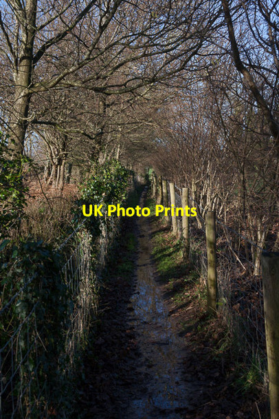 Photo 6"x4" Footpath on Park Farm Ashton\/SU5419 c2014