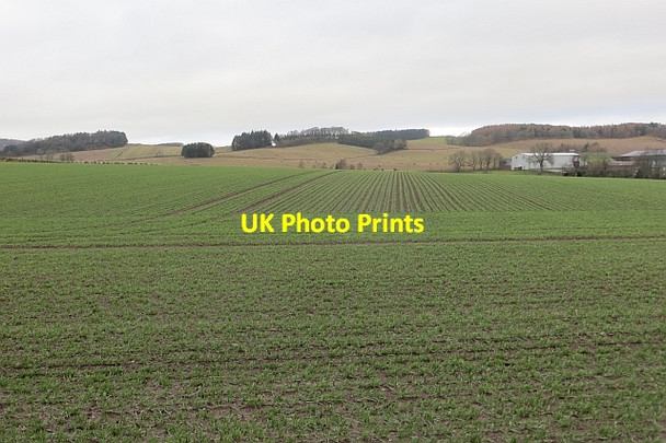 Photo 6"x4" Winter cereals, Gateside Gateside\/NO1809 c2014