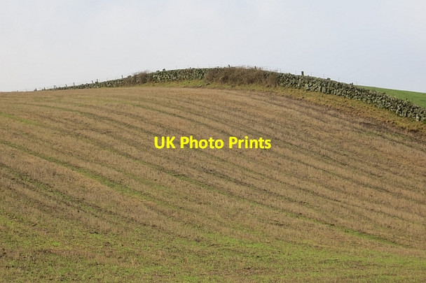 Photo 6"x4" Stubble, Pitlochie Burnside\/NO1608 c2014