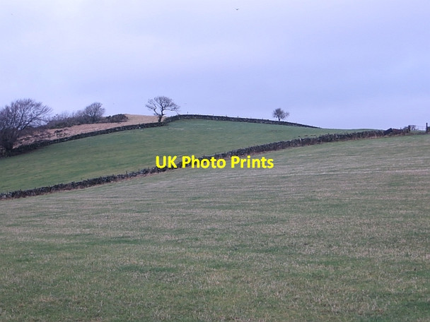 Photo 6"x4" Fields near Glenfarg Glenfarg c2014