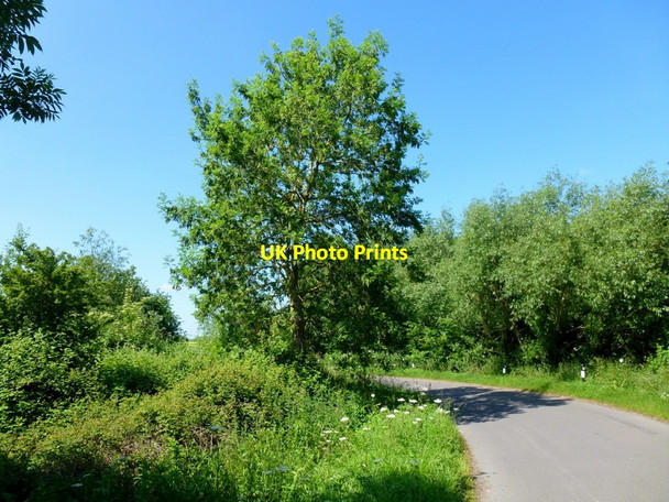 Photo 6"x4" Lane south to Little Comberton Little Comberton c2013