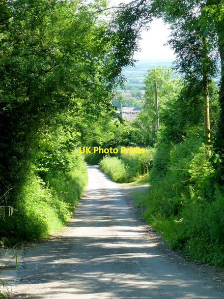 Photo 6"x4" Hill Lane Elmley Castle c2013