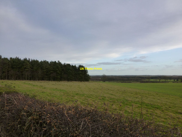 Photo 6"x4" Tank Plantation Eshott c2014