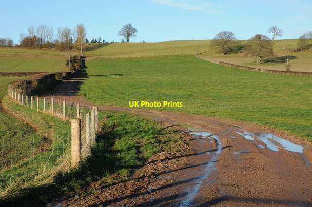 Photo 6"x4" Adzor Bank Canon Pyon c2013