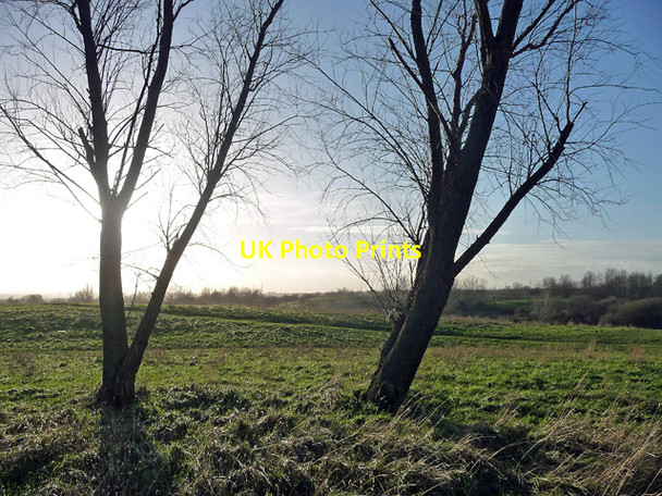 Photo 6"x4" Mitcham Common (1) Mitcham c2014