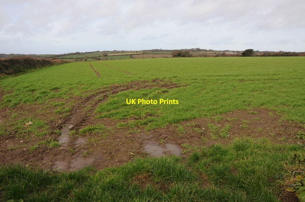 Photo 6"x4" Arable land near Reawla Calloose c2014