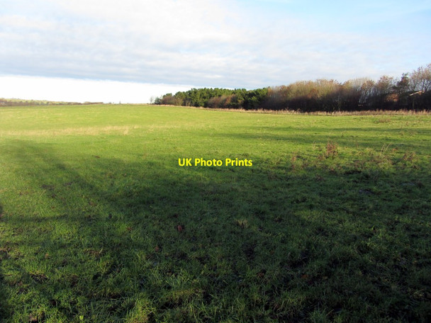Photo 6"x4" Pasture north of North Walbottle Road North Walbottle c2013