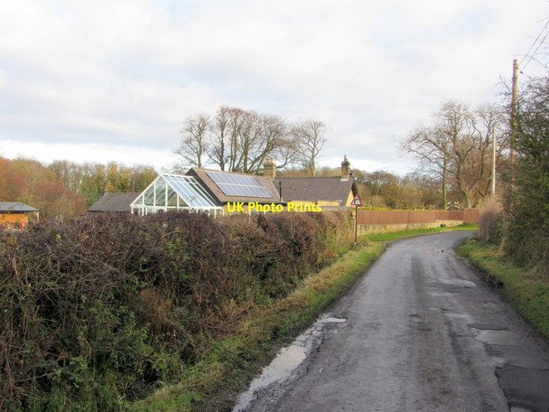 Photo 6"x4" Whorlton Lane Callerton c2013