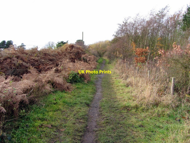 Photo 6"x4" Footpath east of Whorlton Hall Kenton Bankfoot c2013