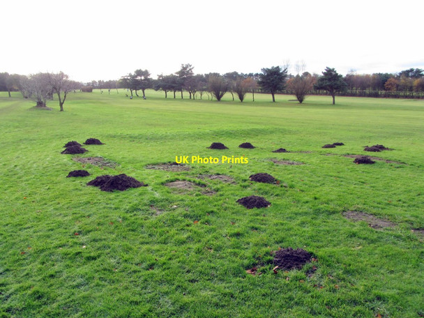 Photo 6"x4" Westerhope Golf Course Kenton Bankfoot c2013