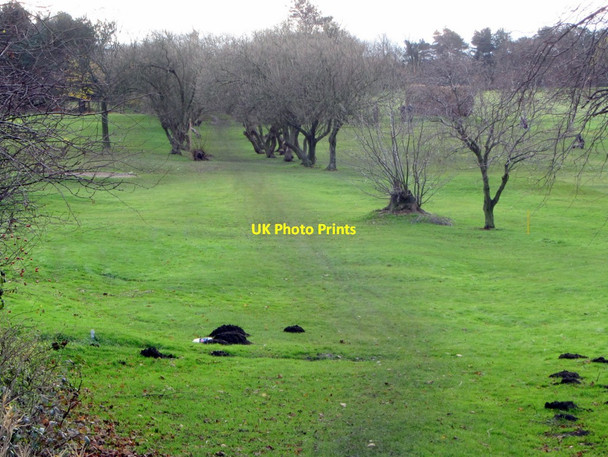 Photo 6"x4" Footpath crossing Westerhope Golf Course Kenton Bankfoot c2013