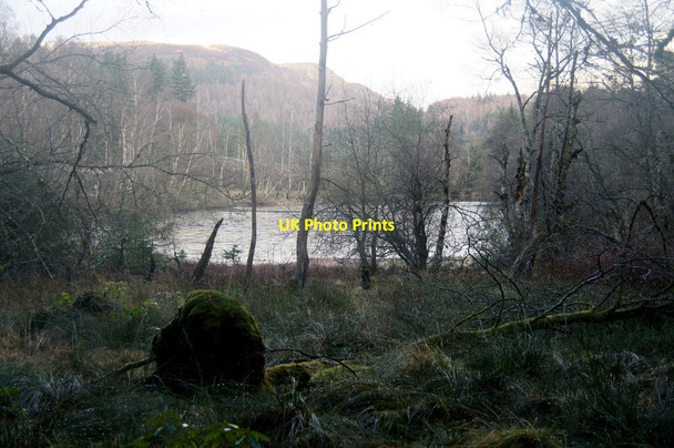 Photo 6"x4" Cally Loch, Dunkeld Dunkeld c2013