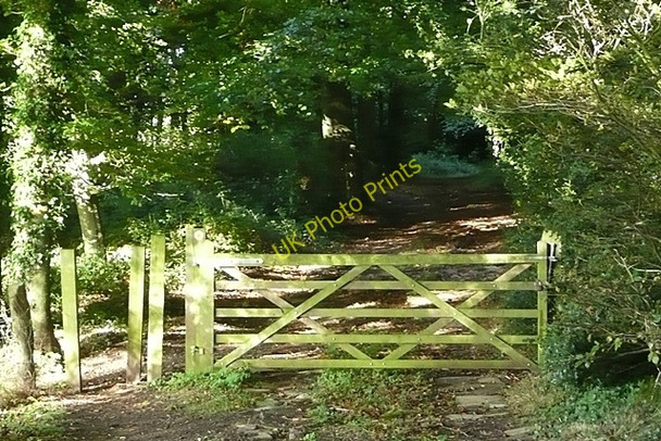 Photo 6"x4" Footpath at Hammond's Wood Exlade Street c2008