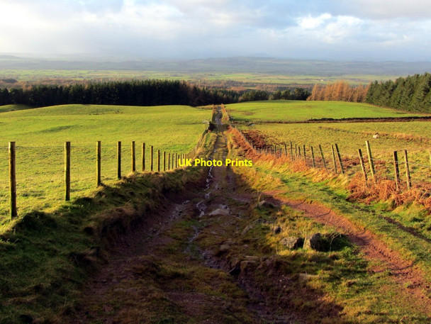 Photo 6"x4" Track to Melmerby below Little Awfell Melmerby\/NY6137 c2014