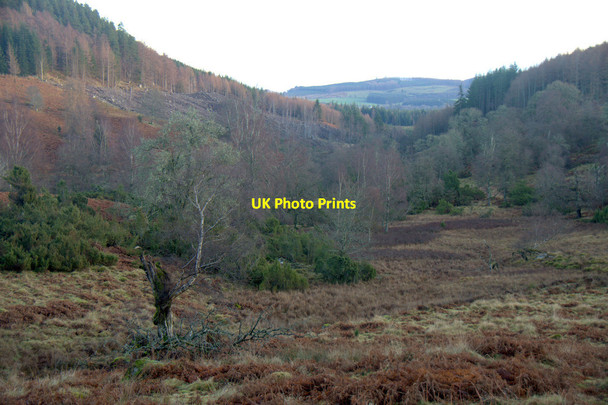 Photo 6"x4" Valley of the Lunan Burn, near Dunkeld Dunkeld c2013