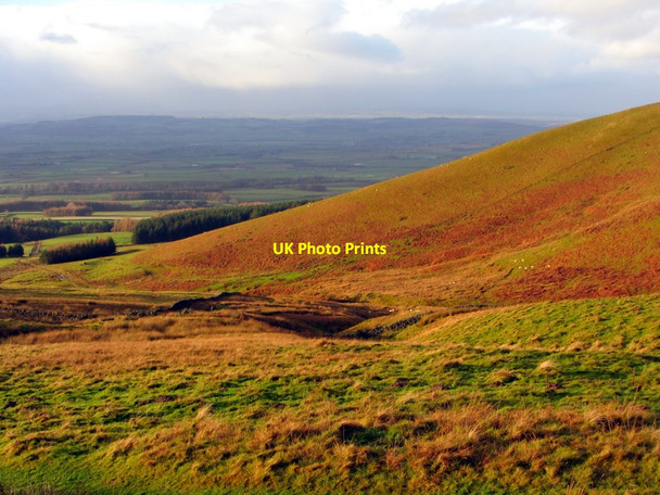 Photo 6"x4" Hillside around Swire Sike Melmerby\/NY6137 c2014