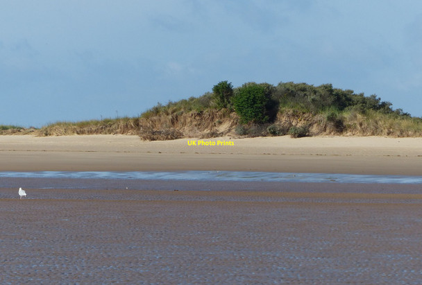 Photo 6"x4" Edge of the dunes at Gibraltar Point Seacroft\/TF5660 c2013