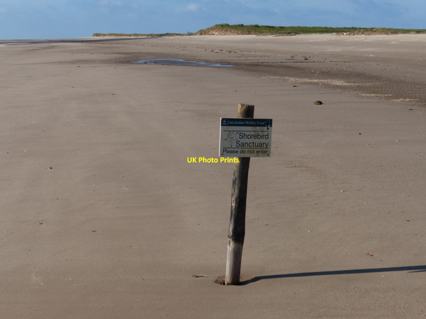 Photo 6"x4" Shorebird Sanctuary sign on the beach Seacroft\/TF5660 c2013