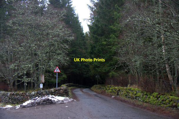 Photo 6"x4" Road at Cray Cray\/NO1463 c2013