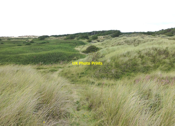 Photo 6"x4" The path towards Sandfield Farm from the Blundell Path Formby c2013