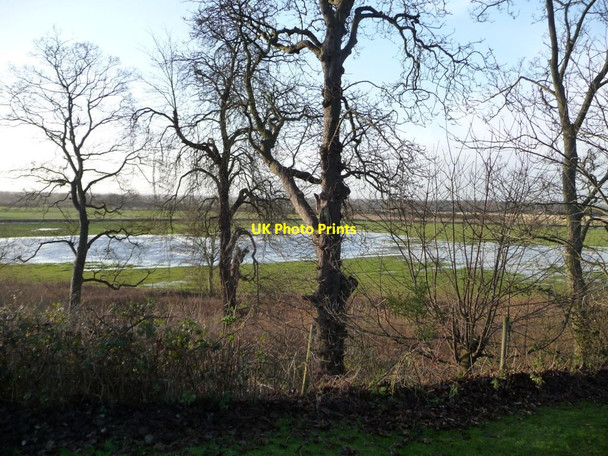 Photo 6"x4" Woodland along the River Swarbourn Overley\/SK1615 c2014