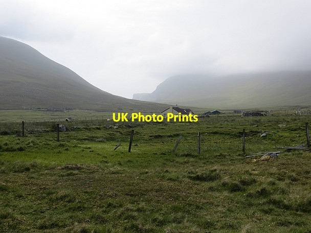 Photo 6"x4" Da Daal Da Toon o Ham c2013