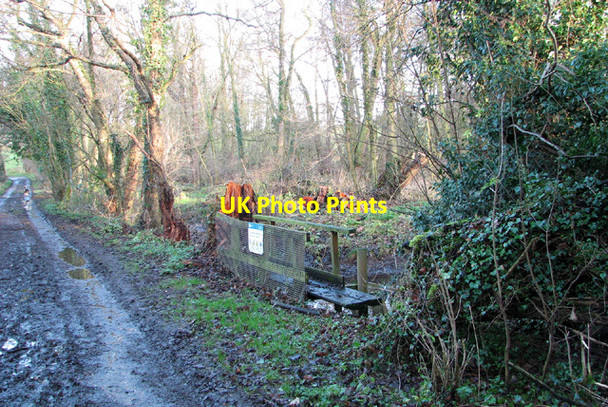 Photo 6"x4" Track to St Saviour's church Surlingham c2014