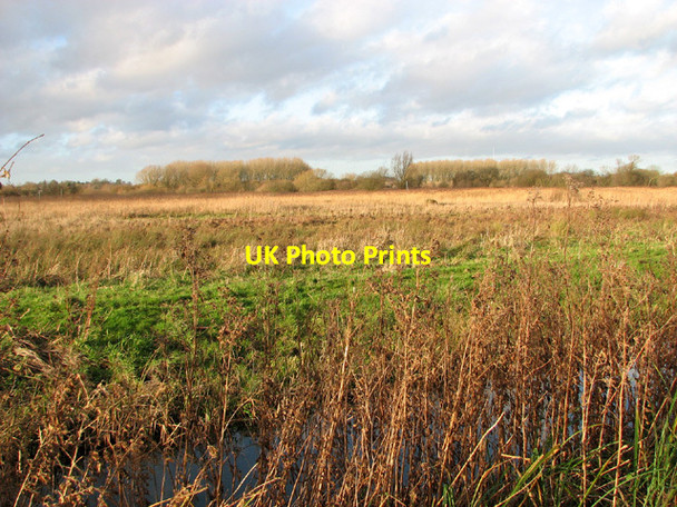 Photo 6"x4" View across Church Marsh Surlingham c2014