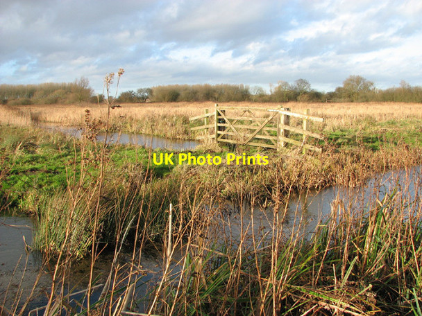 Photo 6"x4" Drainage ditches in Church Marsh Surlingham c2014