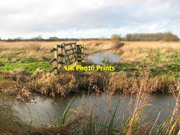 Photo 6"x4" Church Marsh in early January Surlingham c2014