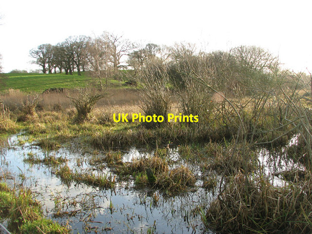 Photo 6"x4" Flooded pasture in Church Marsh Postwick c2014 P1