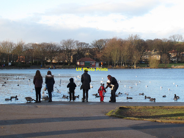 Photo 6"x4" Feeding the ducks at Yeadon Tarn Yeadon c2014