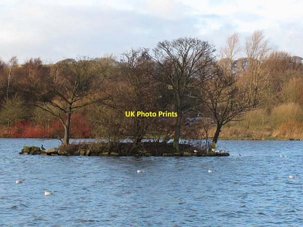 Photo 6"x4" Island in Yeadon Tarn Yeadon c2014