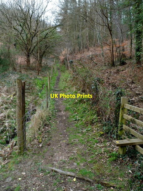 Photo 6"x4" Track into Hafod-tudur-ganol near Wattsville Wattsville c2012