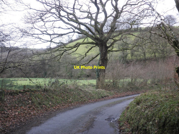 Photo 6"x4" Thorne Lane Luckwell Bridge c2014