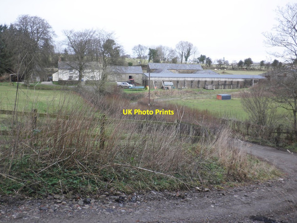 Photo 6"x4" Thorne Farm Luckwell Bridge c2014