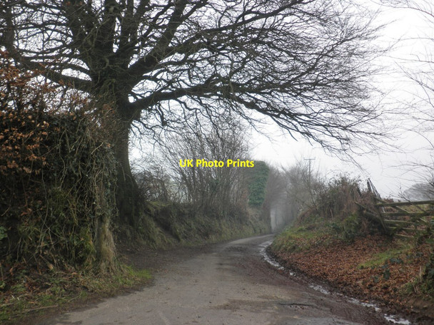 Photo 6"x4" Oldrey Lane Luckwell Bridge c2014