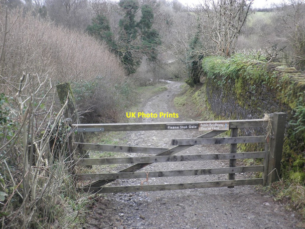 Photo 6"x4" Bridleway to Thorne Lane Codsend c2014