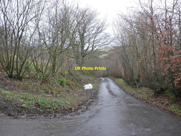 Photo 6"x4" Sellbed Cross Edgcott\/SS8438 c2014