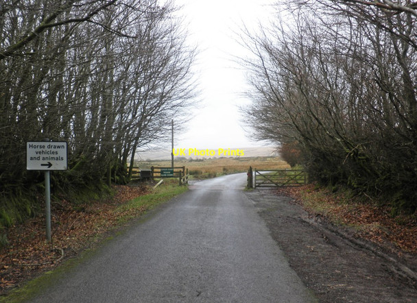 Photo 6"x4" Cattle grid on Landacre Lane Edgcott\/SS8438 c2014